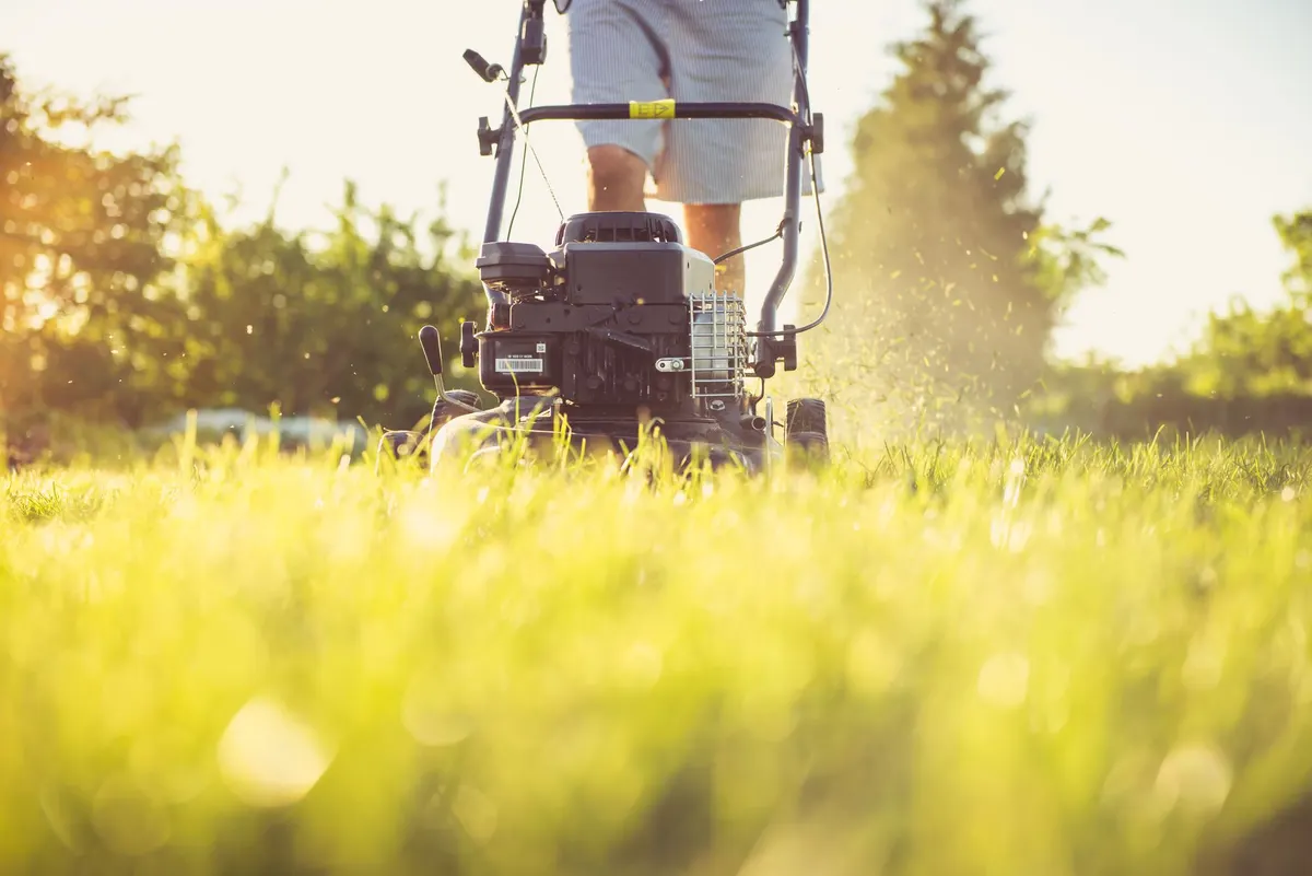 Mower crossing a backlit lawn at golden hour