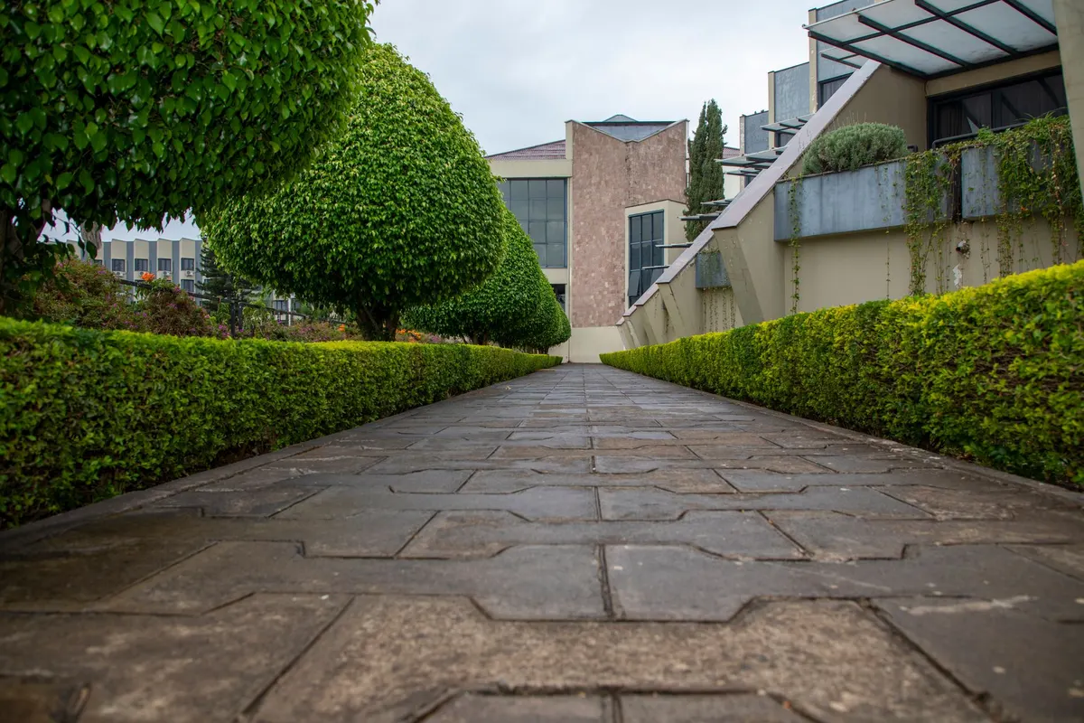 Crisp paver walkway lined with clipped hedges