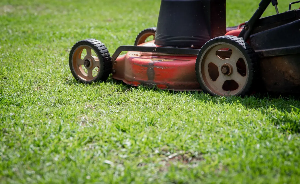 Push mower on fresh spring grass
